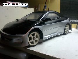 La peinture de fini.